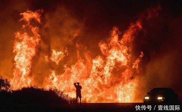 “科技+健康”双轮驱动：全国龟鳖产业科研高峰论坛启幕